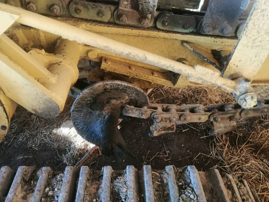 ZANJADORA HOLLAND (5).webp