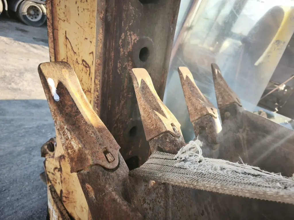 WhatsApp Image 2026-03-16 at 08.32.11.webp